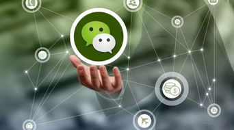 微信上千萬別做的危險行為，三言兩語就可能送你坐牢